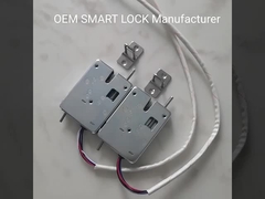 Pil Paylaşılan Dolap İçin OEM DC 24V Elektrikli Solenoid Kilit Anti Gözetleme